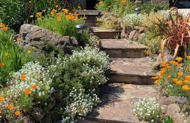 Amazing Santa Cruz Landscaped Paradise - Foto 7