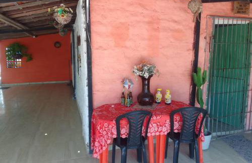 Flor de cacto - Foto 28