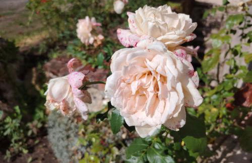 Closerie de Montaimé - Foto 26