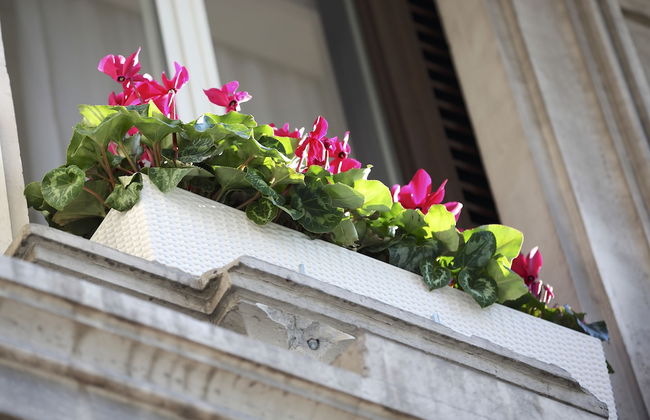 Tullia e Prisca Relais - Photo 37