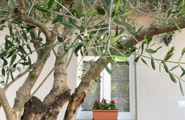 Casa Langhe - Foto 7