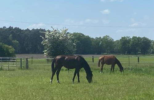 Wunderschöne Ferienwohnung mit Balkon auf dem Bauernhof - Foto 15