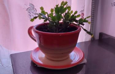 Piso turístico en el centro de Benavente - Foto 39