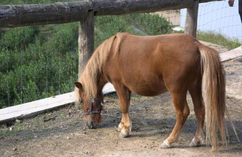 Quinta dos Lagos - Foto 6