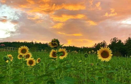 Luxury Farm Stay-Bonds Corner Bungalow-Wolf Pine Hollow - Foto 31