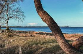 Blockhaus Rügen - Natur, Strand und Mee(h)r - Foto 22