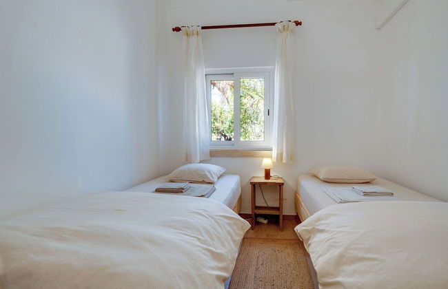 Quinta Coelho - Foto 17