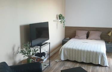 1Centre ville avec parking - Foto 2