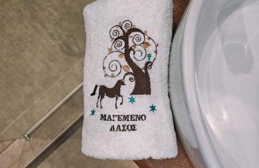 Μαγεμένο Δάσος Apartments - Photo 31