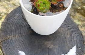 Cardenha da Bessada - Foto 48