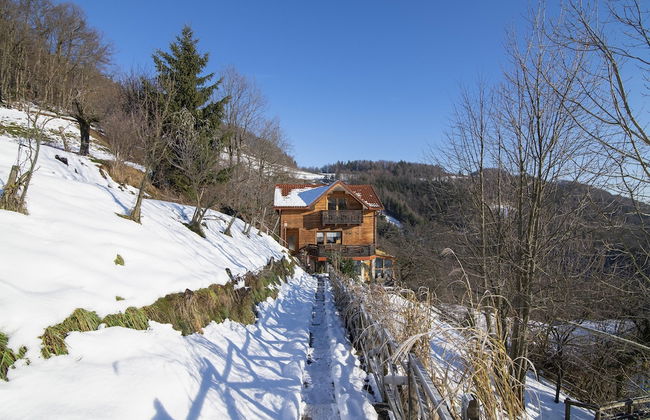 Pool Wellness Chalet Sunshine - Photo 36