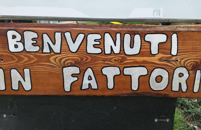 Agriturismo La Vecchia Fontana - Photo 85