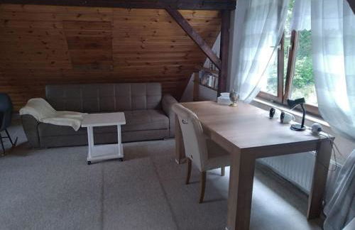 100 Stufen über dem Rhein - Photo 48