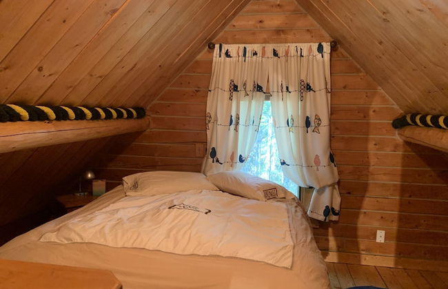 Joy's Kenai River Cabins - Foto 20