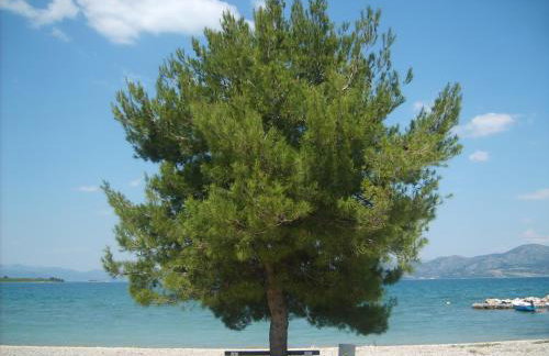 Kuća Za Odmor Gabriella - Foto 20