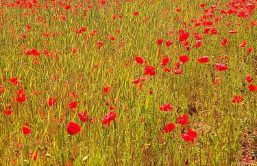 Apartment bei Nürburgring, Parking, Homeoffice - Foto 51