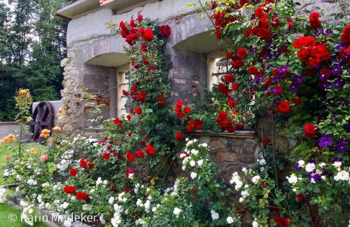 Design Ferienwohnung mit Bauerngarten - Foto 29