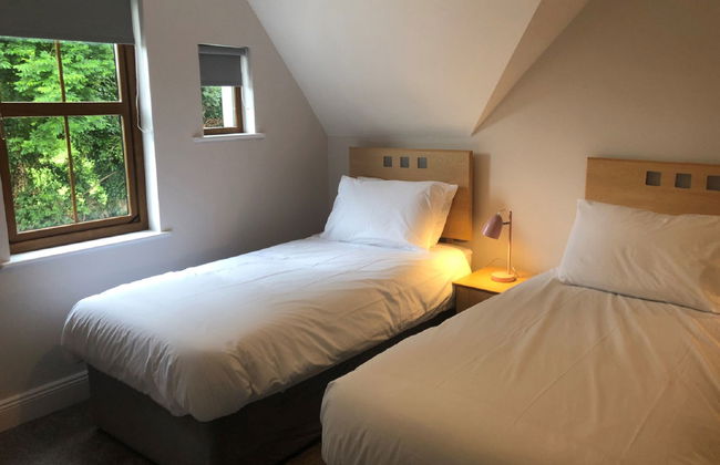 3 bedroom House in Nenagh with garden - Photo 10