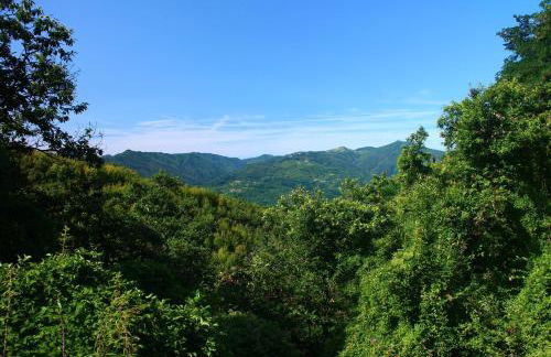 Hotel Podere Conti - Foto 29