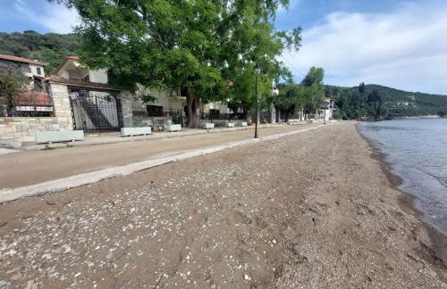 Homico 2 Lefokastro - Foto 29