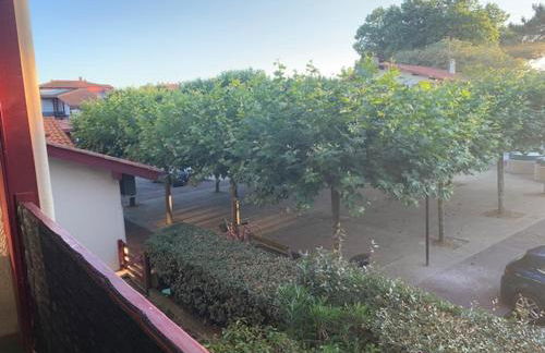 Le Green-Center, 2 pièces en Hyper Centre - Foto 4