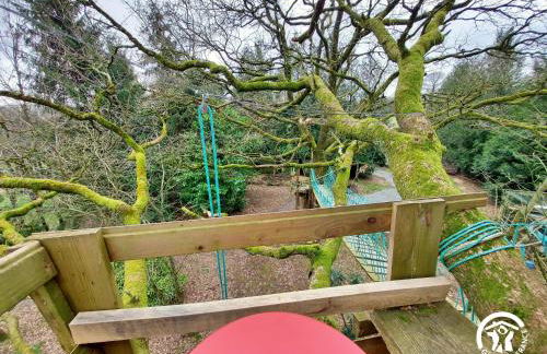 Le nid dans le chêne - Photo 9