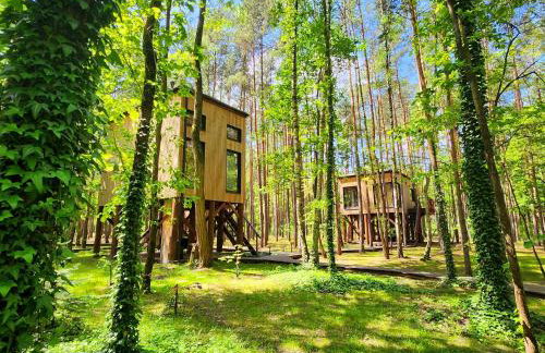 Tree Houses Olszanka - Photo 18