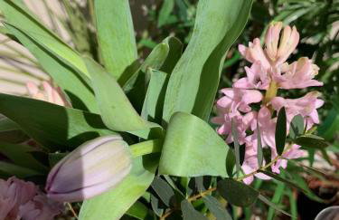 Sandsifter at 4 Trencrom Court, Carbis Bay,St Ives, Cornwall - Foto 14