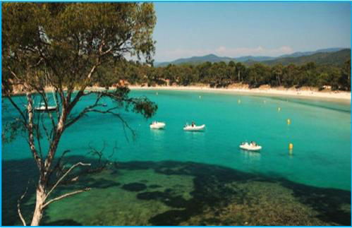 Port Hyeres Duplex plein Sud 200 M2 et 100 M2 de terrasse - Foto 45