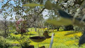 Agriturismo CarpinoNero - Photo 4