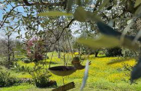 Agriturismo CarpinoNero - Photo 4