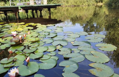 Dom wypoczynkowy Radomno - Foto 29