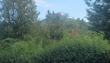 Ferienwohnung Marrazzo - Photo 5, Garden view