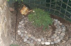 La casetta di Dora - Photo 51