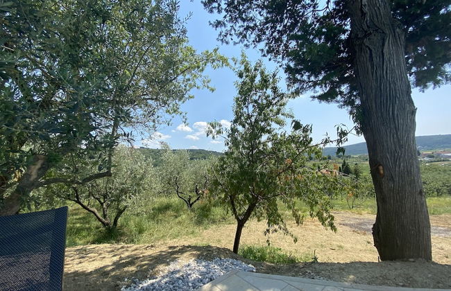 Villa Olive Oasis - Foto 35