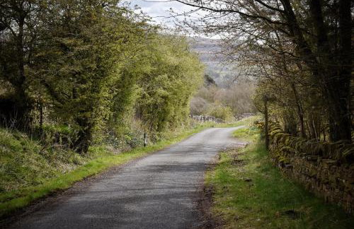 Bracken Cottage - Photo 32