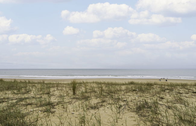 Bleu Marine - Foto 18