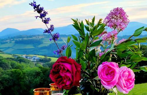 Ty Farm Retreat - Farmhouse Studio - Mountain View - Foto 35