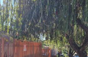 Chale para temporada - Bonito MS - Foto 10