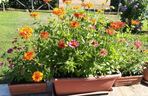 Agriturismo La Dependance - Foto 32