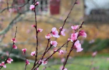 Gite D'Amis de Belbouys - Foto 62