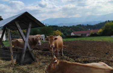 Casa vacanza Da Lara - Foto 21