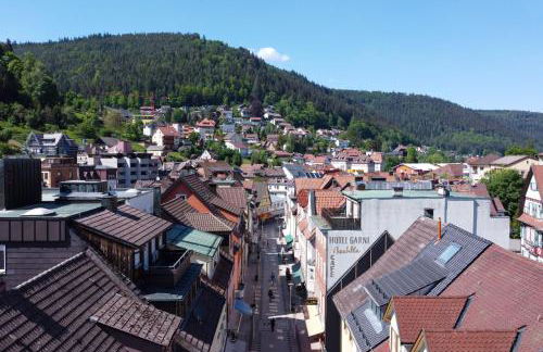 Schwarzwaldnest - Foto 26