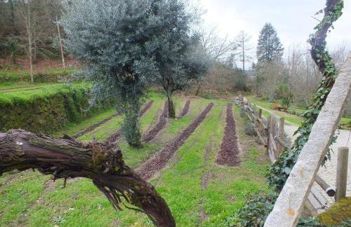 Quinta do Caritel - Foto 39