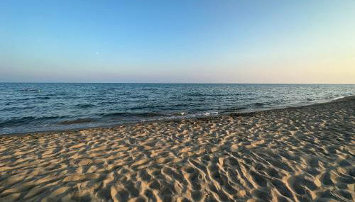 La Conchiglia - Foto 3