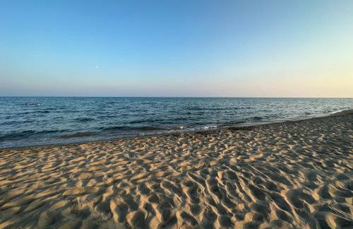 La Conchiglia - Foto 3