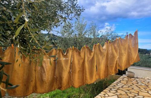 Gelbes Haus Korfu - Foto 30