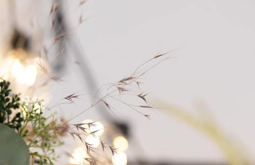 Apartment Apartment 54 by Interhome - Photo 12