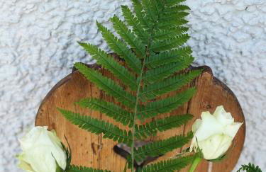 Abrahams Bayr Cottage - Foto 46