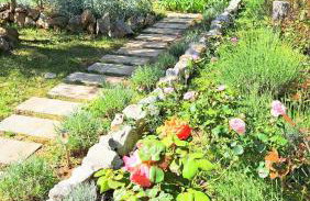 Apartments Gardelin Paklenica - Photo 41